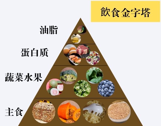 飲食金字塔